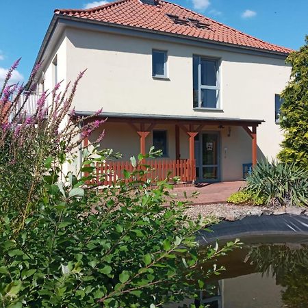 Ferienwohnung Toelle Bad Rehburg ภายนอก รูปภาพ