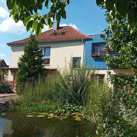Ferienwohnung Toelle Bad Rehburg ภายนอก รูปภาพ